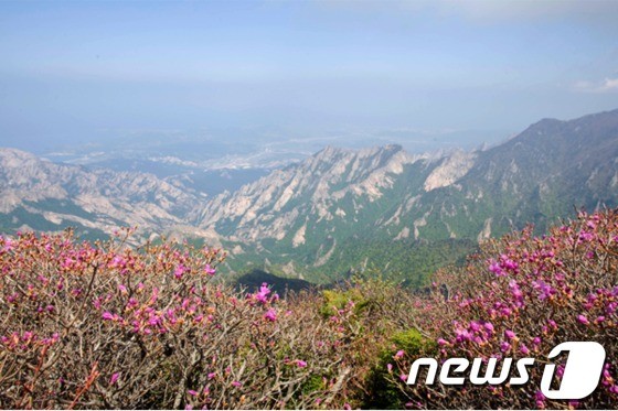 슬롯 사이트 슬롯사이트 비로봉 전경. ⓒ News1