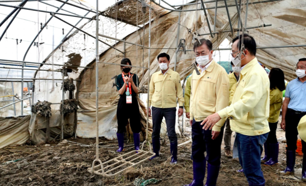 폭우로 막대한 피해를 본 농가를 방문한 문재인 대통령 (사진=청와대)