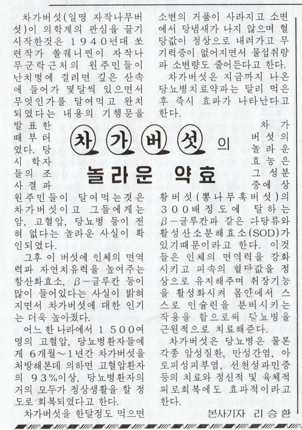 평양신문이 보도한 차가버섯 약효기사(사진=러시아대사관 페이스 북)