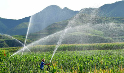 황해북도 농장에서 옥수수밭에 물주는 모습(사진=노동신문)