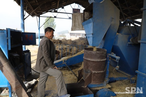 협동농장 작업반에서 추수한 벼를 탈곡하는 모습(사진=러시아대사관)
