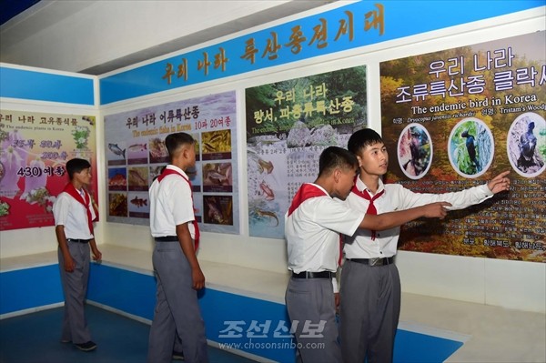 북한 청소년 학생들이 특산종 전시대를 둘러보고 있다.사진=조선신보)