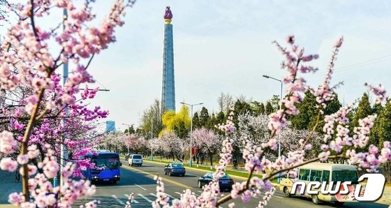 북한 노동신문이 2023년 4월 공개한 '4월의 봄'을 맞은 평양 시내 모습. 사진 왼편 하단에 포착된 버스는 과거 개성공단 북측 근로자들의 통근용으로 사용됐던 현대자동차의 '에어로시티' 버스로 추정된다.(사진=노동신문/뉴스1)