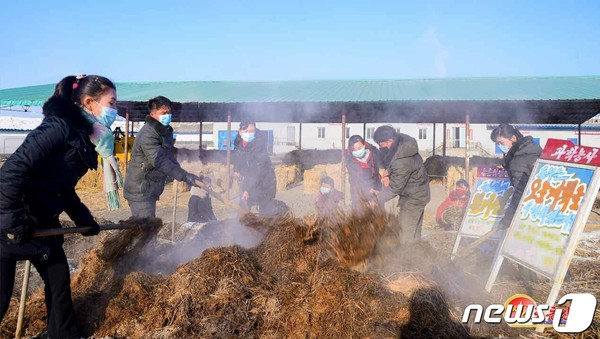 북한 사동구역 송신남새농장에서 거름 생산에 나선 모습(사진=노동신문/뉴스1)