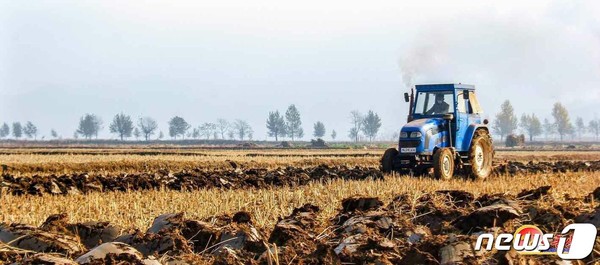 북한 황주군 농장에서 농사 준비를 하고 있는 모습(사진=노동신문/뉴스1)
