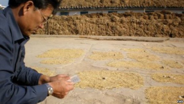 유엔 식량조사단이 북한에서 활동하는 모습(사진=FAO))