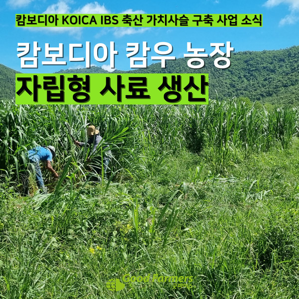 해시 게임 바카라