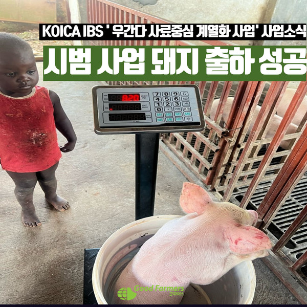 해시 게임 바카라