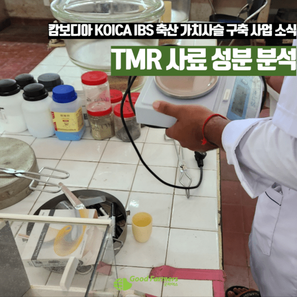 에볼루션 바카라 무료