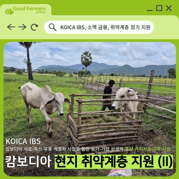 에볼루션 바카라 무료