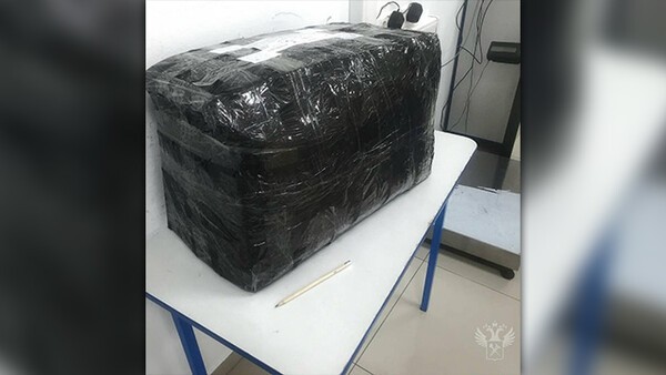 러서이 연방 관체청에 적발된 곰발바닥 포장 상자(사진=온라인카지노추천 연방 관세청 텔레그램)