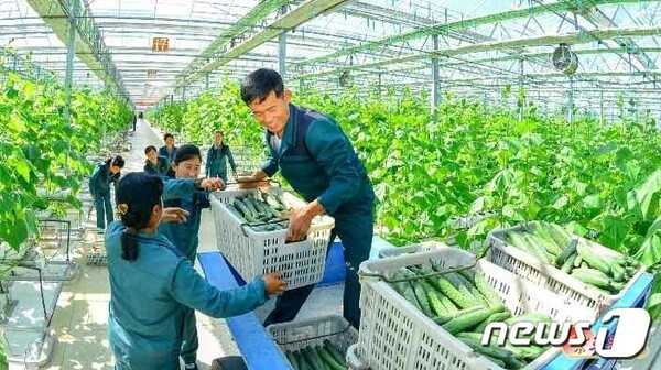 북한 연포시큐리티 슬롯(사진=노동신문/뉴스1)