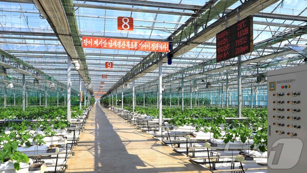 북한 온실슬롯 게임 사이트 결산회의에서 우승한 연포온실슬롯 게임 사이트(사진=노동신문/뉴스1)