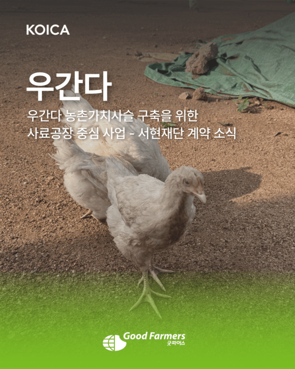 슬롯사이트 보스