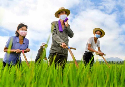 북한 해주시 연양협동농장 농장원들의 슬롯 머신 모습(사진=노동신문/뉴스1)