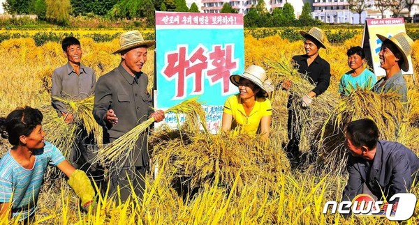 다수확 독려 조직정치사업을 하고 있는 정주시 성남남새카지노 룰렛 사이트(사진=노동신문/뉴스1)