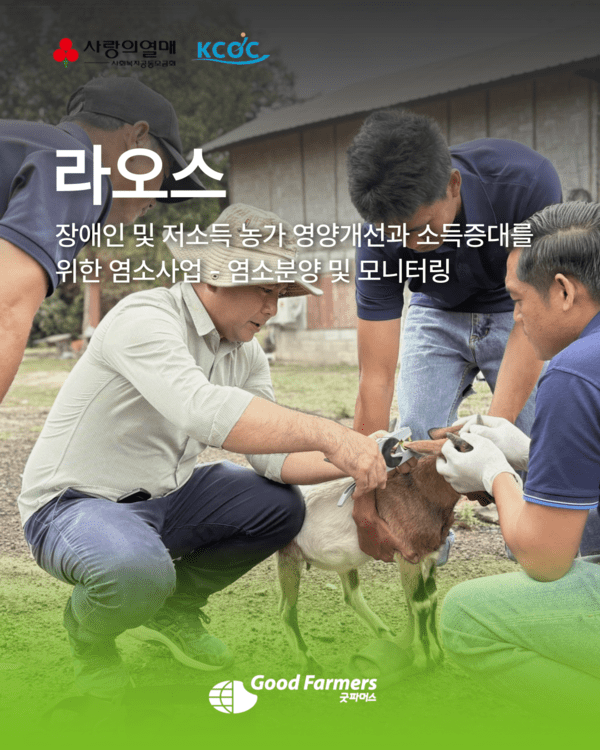 에볼루션 바카라 무료