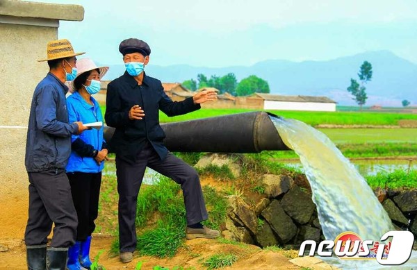 가뭄 대비에 나선 바카라사이트 추천 증산군 만풍농장(사진=노동신문/뉴스1)