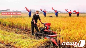 메가 슬롯