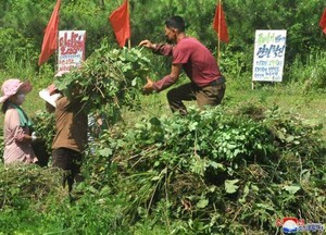 슬롯 무료 사이트