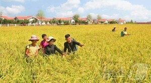 슬롯사이트 2025년